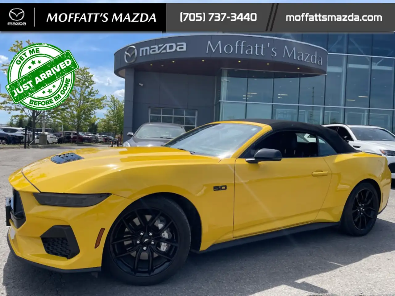 Ford Mustang fotografie Ford Mustang