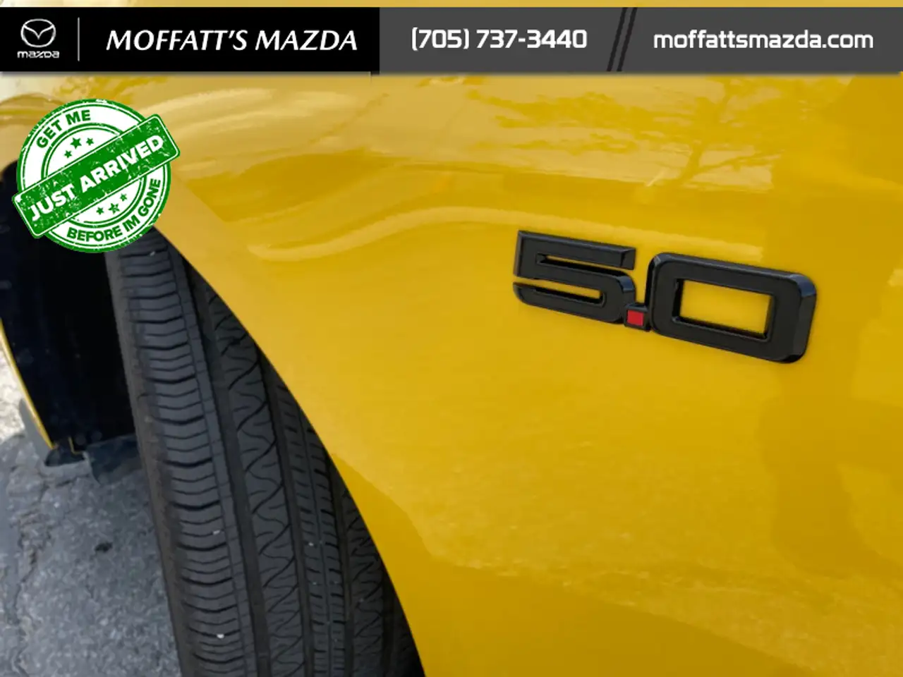 Ford Mustang fotografie Ford Mustang