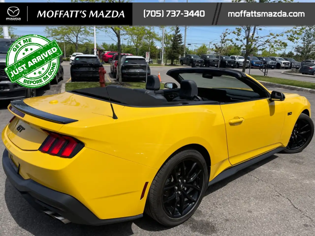 Ford Mustang fotografie Ford Mustang