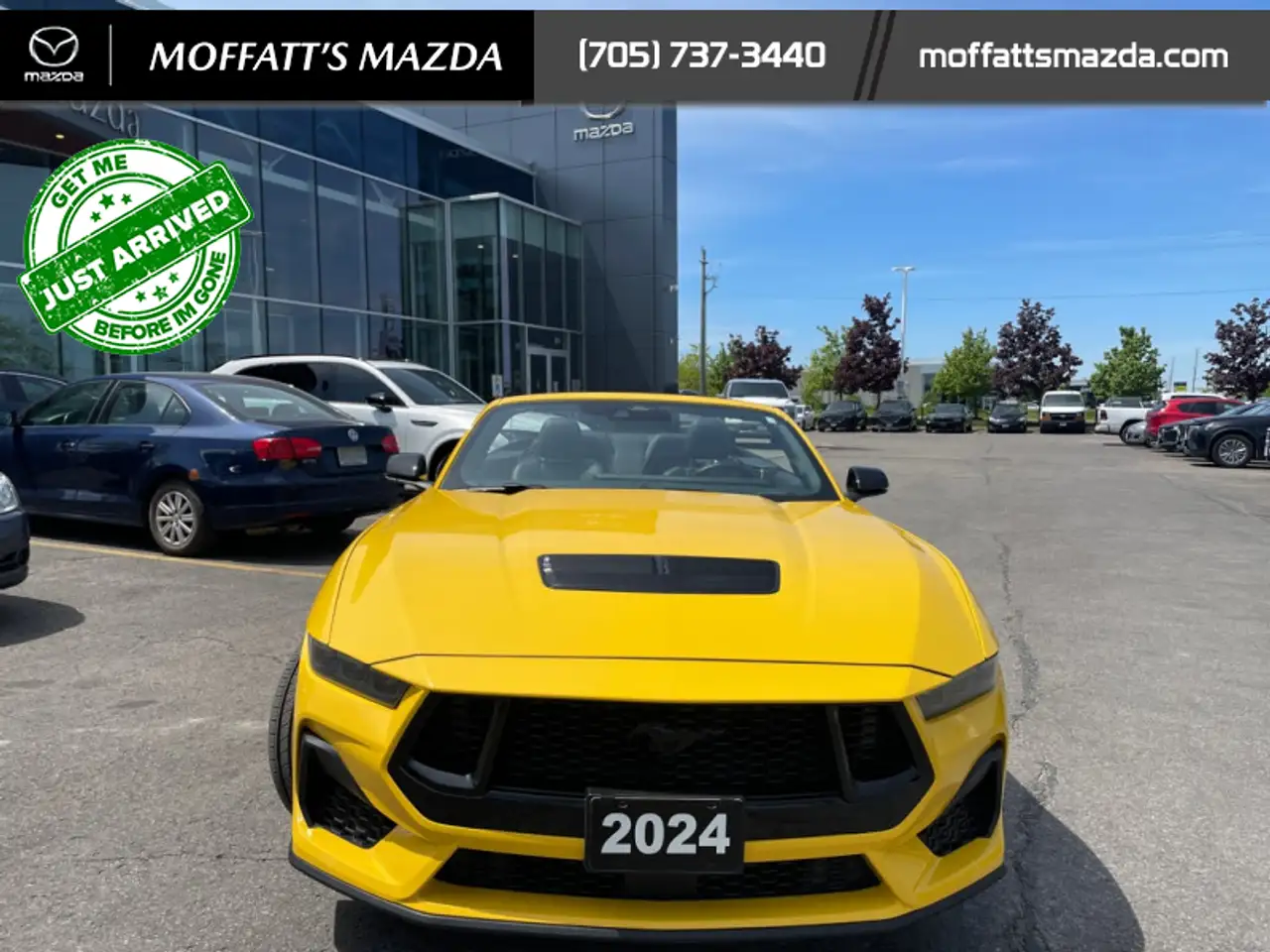 Ford Mustang fotografie Ford Mustang