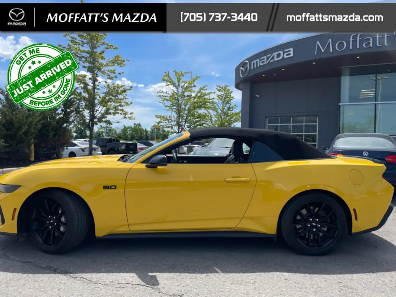 Ford Mustang fotografie Ford Mustang