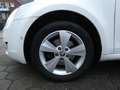 Skoda Octavia Combi Greenline 1,6 TDI Bi-Xenon Keyless Navi 4xSH Weiß - thumbnail 11