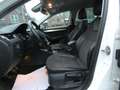 Skoda Octavia Combi Greenline 1,6 TDI Bi-Xenon Keyless Navi 4xSH Weiß - thumbnail 13