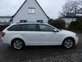 Skoda Octavia Combi Greenline 1,6 TDI Bi-Xenon Keyless Navi 4xSH Weiß - thumbnail 6
