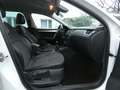 Skoda Octavia Combi Greenline 1,6 TDI Bi-Xenon Keyless Navi 4xSH Weiß - thumbnail 22