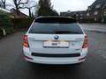 Skoda Octavia Combi Greenline 1,6 TDI Bi-Xenon Keyless Navi 4xSH Weiß - thumbnail 7