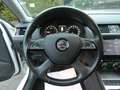 Skoda Octavia Combi Greenline 1,6 TDI Bi-Xenon Keyless Navi 4xSH Weiß - thumbnail 16