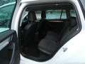 Skoda Octavia Combi Greenline 1,6 TDI Bi-Xenon Keyless Navi 4xSH Weiß - thumbnail 18