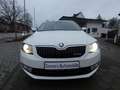 Skoda Octavia Combi Greenline 1,6 TDI Bi-Xenon Keyless Navi 4xSH Weiß - thumbnail 3