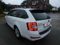 Skoda Octavia Combi Greenline 1,6 TDI Bi-Xenon Keyless Navi 4xSH Weiß - thumbnail 9