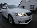 Skoda Octavia Combi Greenline 1,6 TDI Bi-Xenon Keyless Navi 4xSH Weiß - thumbnail 4