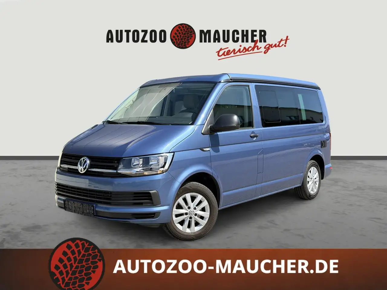 Volkswagen T6
