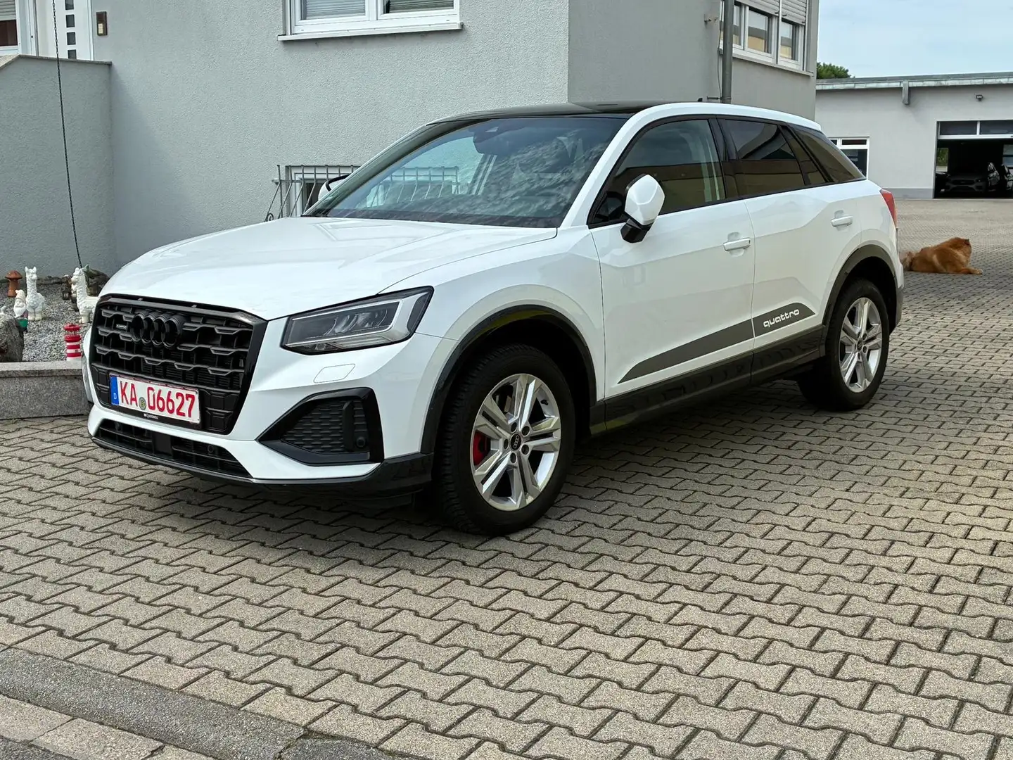 Audi Q2 40 TFSI quattro advanced Blanc - 2