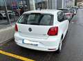 Volkswagen Polo Polo 5p 1.4 tdi Comfortline 75cv Bianco - thumbnail 5