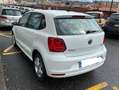 Volkswagen Polo Polo 5p 1.4 tdi Comfortline 75cv Bianco - thumbnail 4