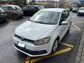 Volkswagen Polo Polo 5p 1.4 tdi Comfortline 75cv Bianco - thumbnail 2