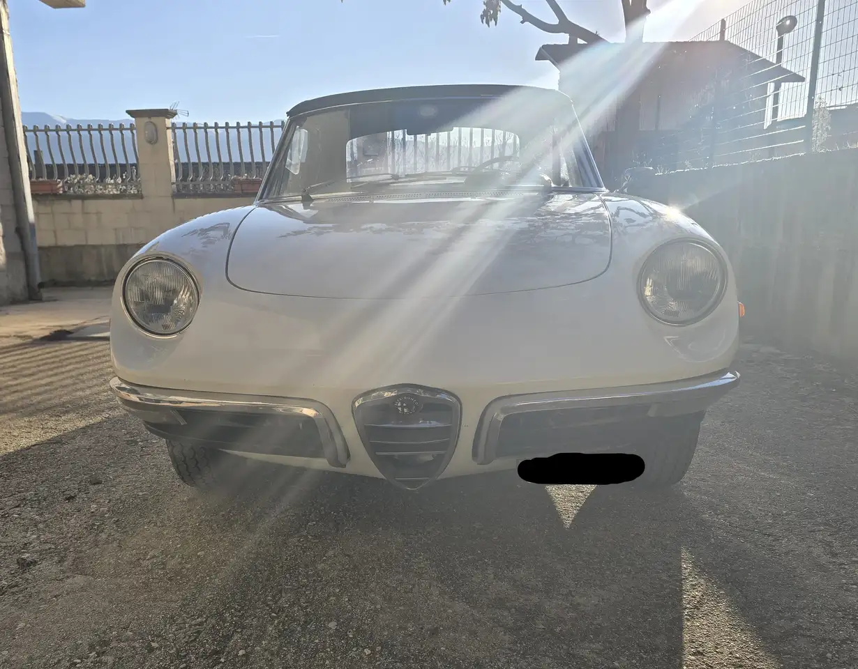 Alfa Romeo Spider 1300 Junior 105 coda lunga anno 1968, foto 7