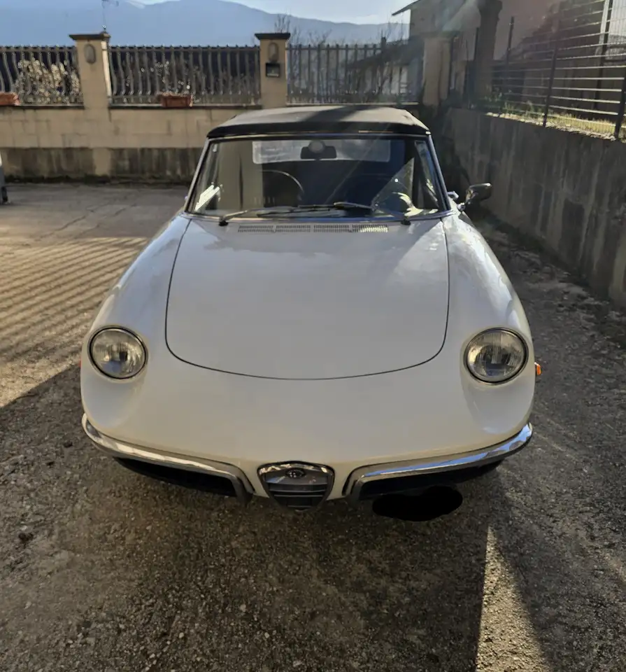 Alfa Romeo Spider 1300 Junior 105 coda lunga anno 1968, foto 6