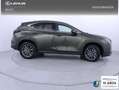 Lexus NX 450h+ Premium+ 4WD Verde - thumbnail 24