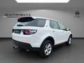 Land Rover Discovery Sport 2.0 Pure Weiß - thumbnail 5