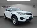 Land Rover Discovery Sport 2.0 Pure Weiß - thumbnail 3