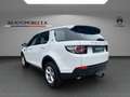 Land Rover Discovery Sport 2.0 Pure Weiß - thumbnail 7