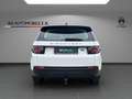 Land Rover Discovery Sport 2.0 Pure Weiß - thumbnail 6