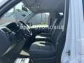 Volkswagen T5 Multivan Startline *AHK*KLIMA*140PS*7-PLÄTZE* Blanc - thumbnail 4