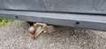 Peugeot Boxer Selbstausbau Weiß - thumbnail 28