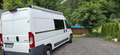 Peugeot Boxer Selbstausbau Weiß - thumbnail 3