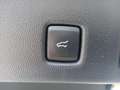 Ford Kuga 2,0 EcoBlue Hybrid ST-Line Aut. nur 315--mtl.* Bílá - thumbnail 10
