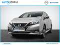 Nissan Leaf e+ Tekna 62 kWh | Navigatie | 360° Camera | Apple Grijs - thumbnail 1