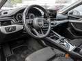 Audi A4 Avant 40 TDI quattro advanced SHZ LED PANO Schwarz - thumbnail 15
