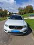 Volvo XC40 XC40 T5 Recharge 180 82 ch DCT7 Inscription Business Argent - thumbnail 1