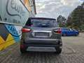 Ford EcoSport Titanium/Navi/Rfkamera Gris - thumbnail 8