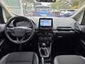 Ford EcoSport Titanium/Navi/Rfkamera Gris - thumbnail 12