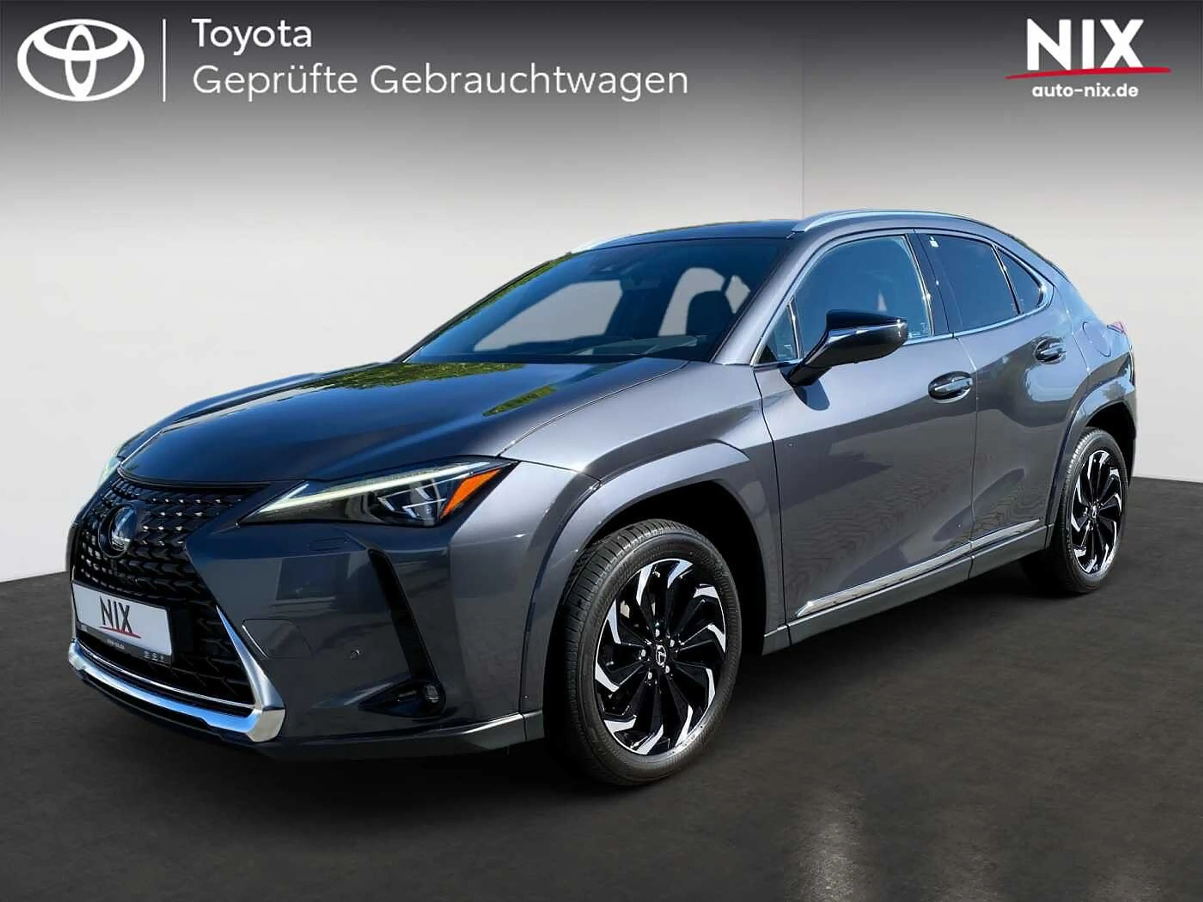 Lexus UX 250h Luxury Line KAMERA SHZ
