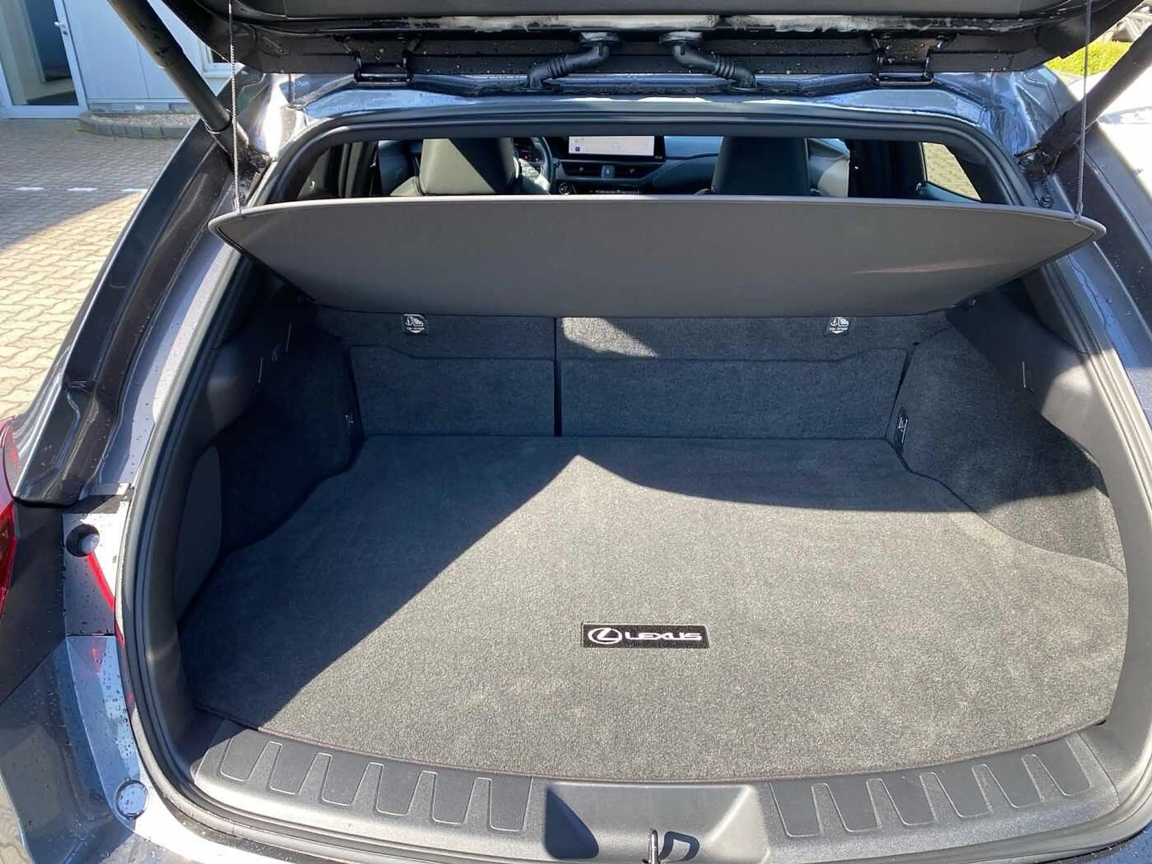 Lexus UX 250h Luxury Line KAMERA SHZ — photo 10