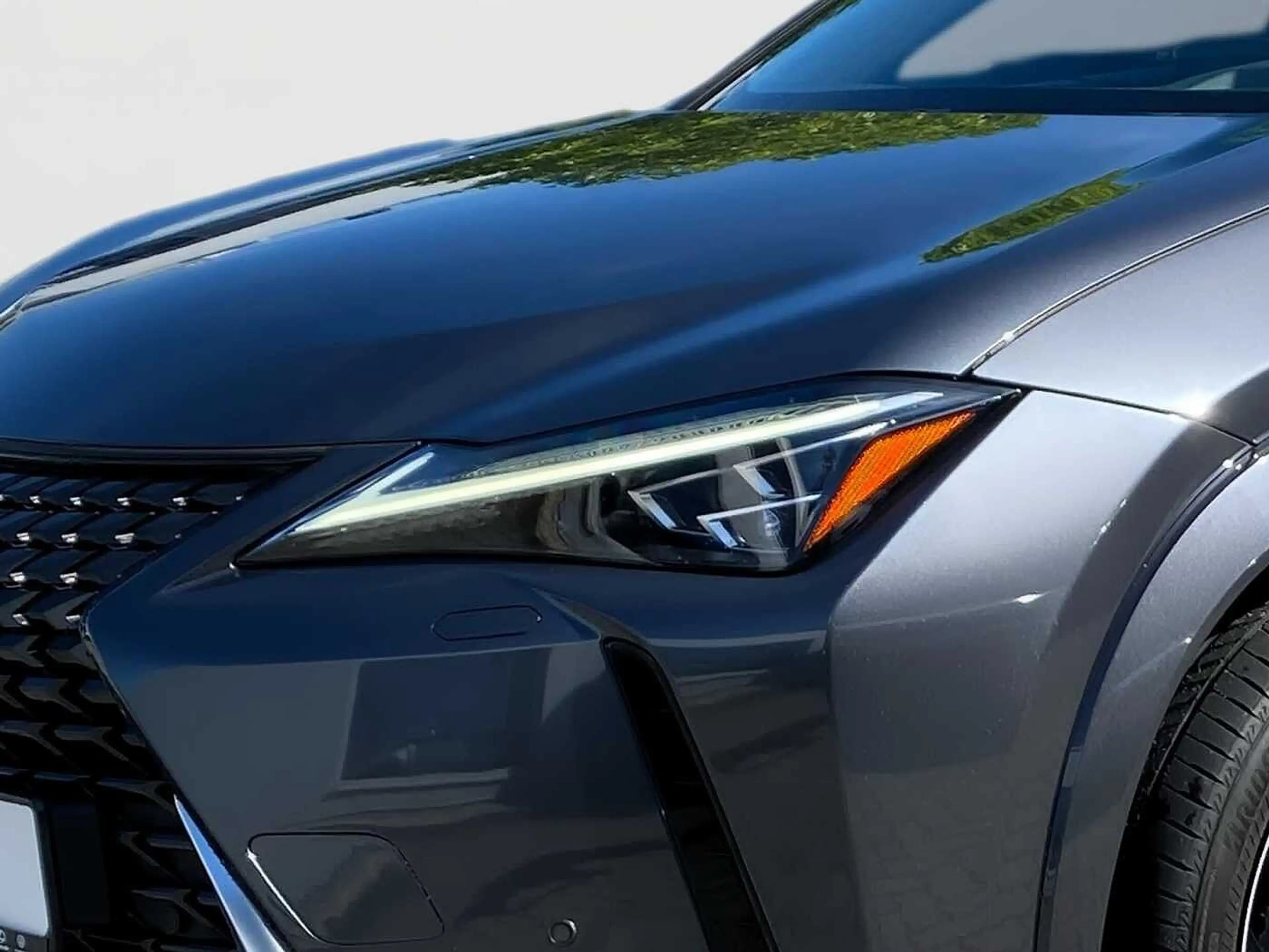 Lexus UX 250h Luxury Line KAMERA SHZ — photo 14