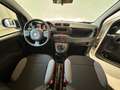 Fiat Panda Van 2 posti Hybrid - KM ZERO - PREZZO + IVA Blanco - thumbnail 15