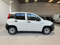 Fiat Panda Van 2 posti Hybrid - KM ZERO - PREZZO + IVA Blanco - thumbnail 6