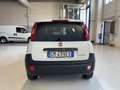 Fiat Panda Van 2 posti Hybrid - KM ZERO - PREZZO + IVA Blanco - thumbnail 4