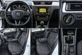Skoda Rapid/Spaceback Elegance Weiß - thumbnail 3
