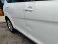 SEAT Altea Freetrack 4x4 MOTORE 2.0 DA 170 CV Wit - thumbnail 10