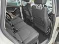 SEAT Altea Freetrack 4x4 MOTORE 2.0 DA 170 CV Wit - thumbnail 14