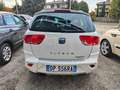 SEAT Altea Freetrack 4x4 MOTORE 2.0 DA 170 CV Wit - thumbnail 6