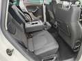SEAT Altea Freetrack 4x4 MOTORE 2.0 DA 170 CV Wit - thumbnail 15