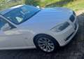 BMW 320 3er Touring Diesel 320d xDrive DPF Touring Edition Weiß - thumbnail 2