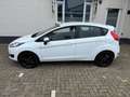 Ford Fiesta 1.25/ Airco/ 5 Drs/ Nieuwe Distributieriem Wit - thumbnail 3