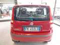 Fiat Panda 1.2 Dynamic (Garanzia 12 mesi) Rosso - thumbnail 5